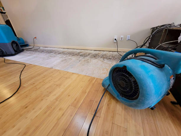 Professional Basement Flood Cleanup technician working in Beavercreek, OH